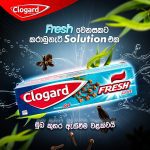 Clogard Fresh Clove Gel 120G - Image 2