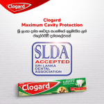 Clogard Regular Toothpaste 200G + Save Rs.95 - Image 2