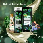Dull Hair Revival Range