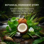 Hair Fall Rescue Range - Image 2