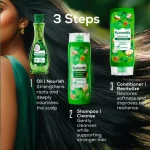 Hair Fall Rescue Range - Image 3